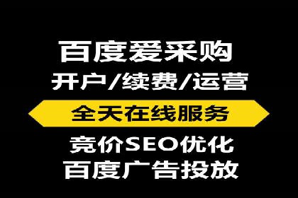 百度推广全攻略：成功案例剖析